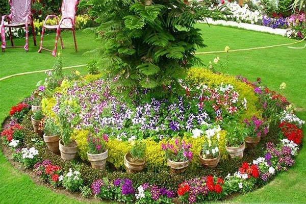 اجرای طرح گلکاری فصلی